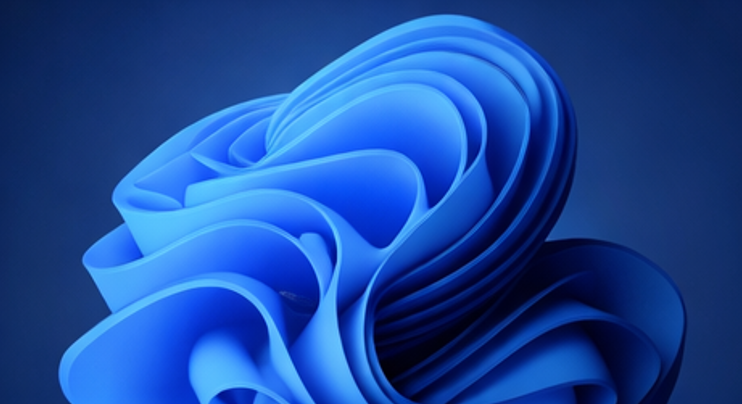 Windows11の立ち上げ画面ガイド